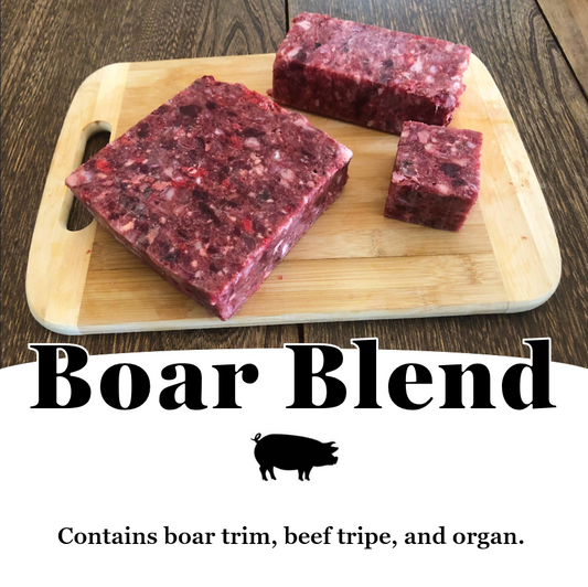 Boar Blend Raw Dog Food