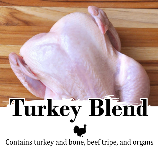 Turkey Blend Raw Dog Food